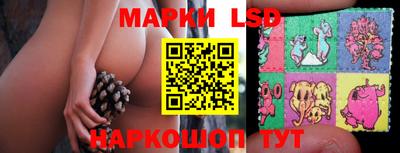 дживик Кимры