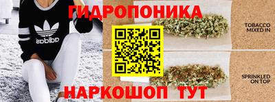 apvp Кинель