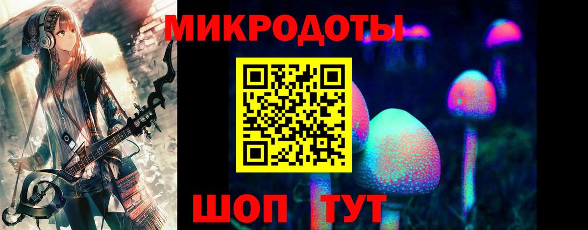 Псилоцибиновые грибы GOLDEN TEACHER Кубинка